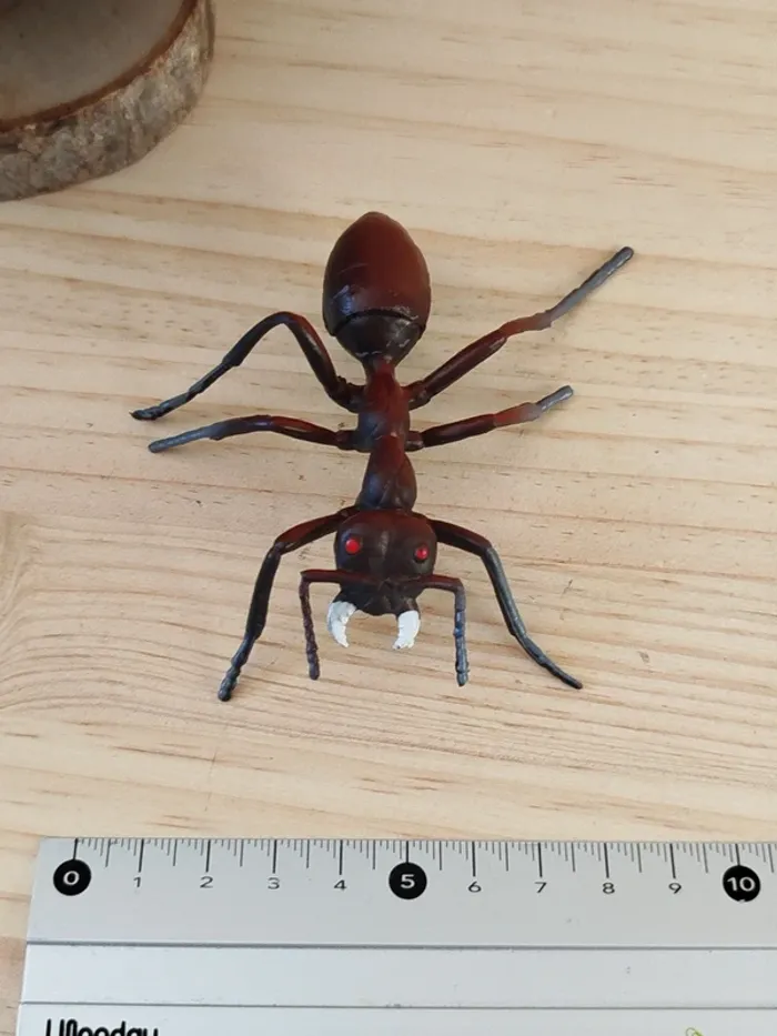 Figurine fourmi Animal insecte - photo numéro 5