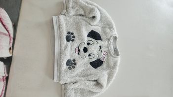 Pull dalmatien
