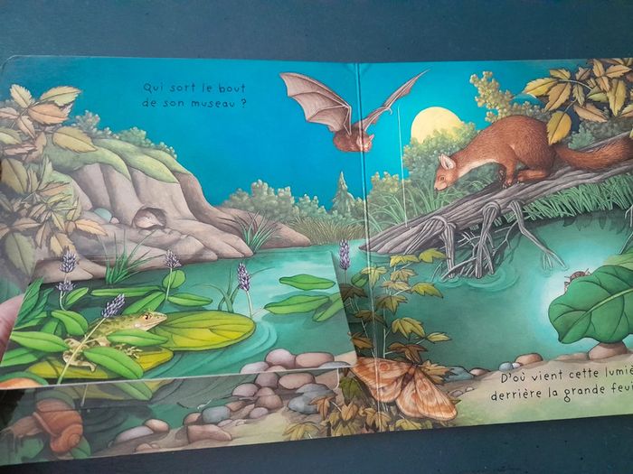 Livre avec rabats les animaux de la nuit - photo numéro 2