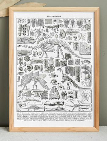 Affiche sur les dinosaures, d'après une lithographie de 1928