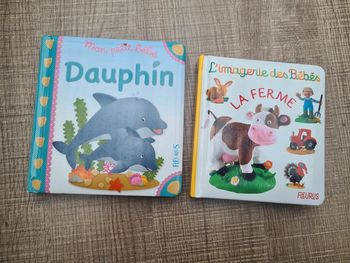 Lot de 2 livres bébé Fleurus TBE