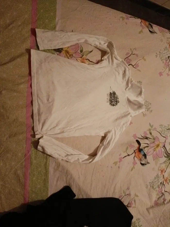 Sous pull 14 ans hérisson in extenso