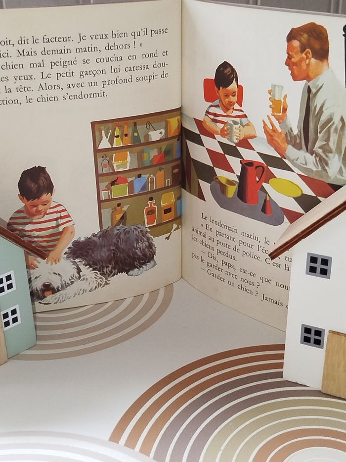 📚 Vintage Hachette Les albums Roses Chiffon - photo numéro 2