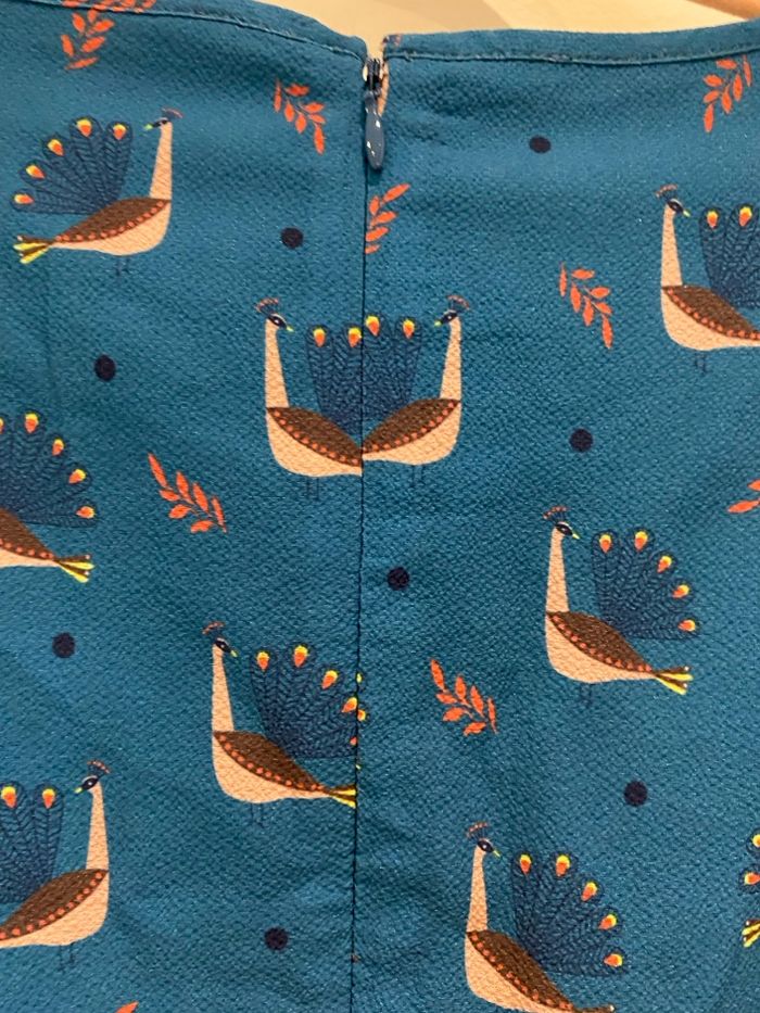 Robe Paon - photo numéro 3