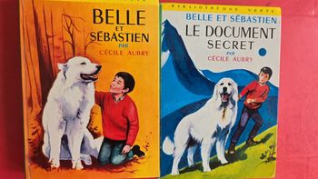 #lot livre Belle et Sébastien
