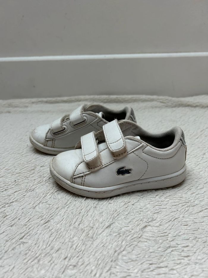 Basket Lacoste