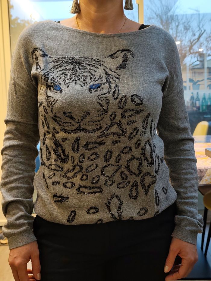 Pull gris tigre camaïeu S - photo numéro 2