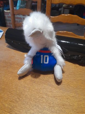 Peluche coin coin