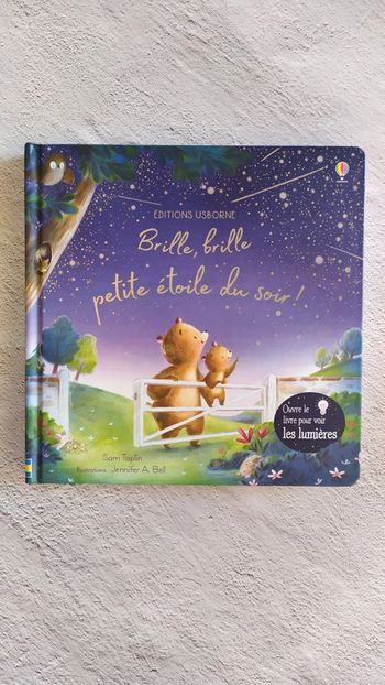 Livre lumineux
