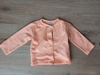 Gilet molletonné 9 mois tbe