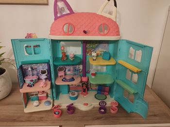 Maison gabby chat