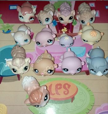 Lot petshop