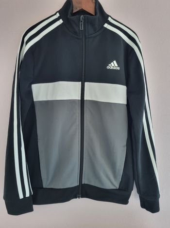 Veste Adidas