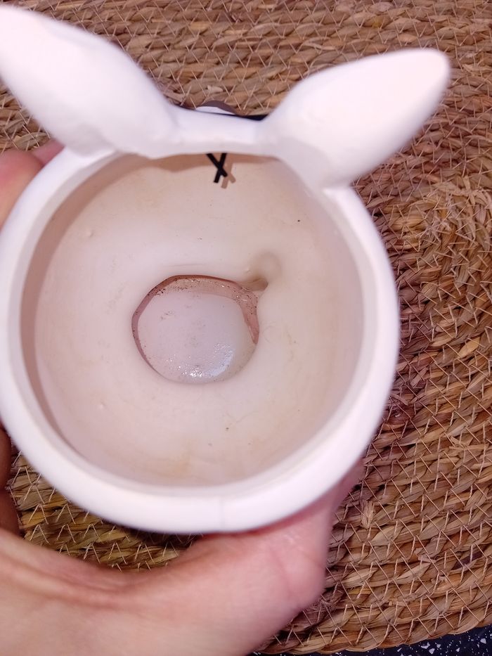 Cache pot - photo numéro 4