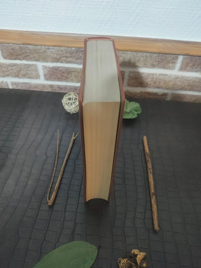E.T.A Hoffmann - Contes et Dessins / Volume 3, Tomes III et IV - photo numéro 5