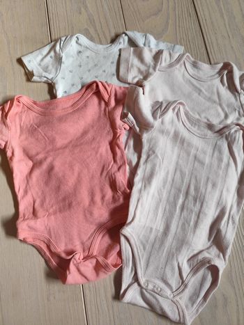 Lot de bodies fille manches courtes 6 mois