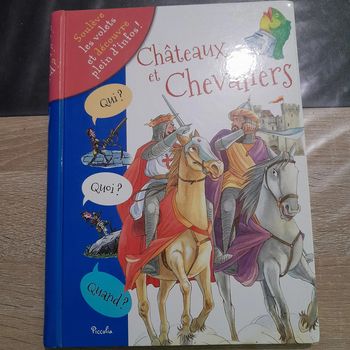 livre à volets Châteaux et chevaliers