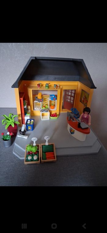 Magasin  playmobil