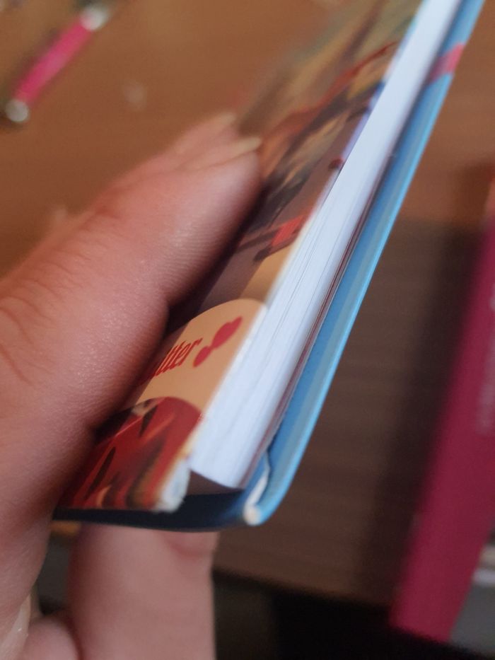 Lot de 2 livre miraculous - photo numéro 9