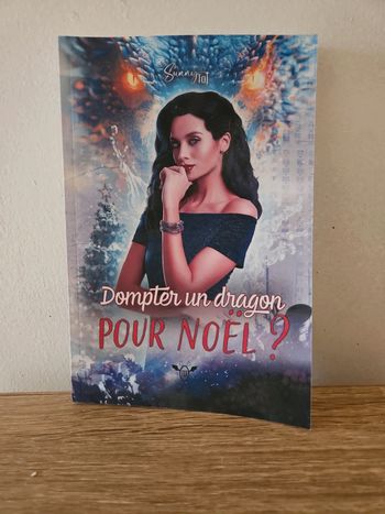 Dompter un Dragon pour Noël ?