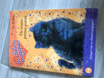 Livre Les chatons magiques