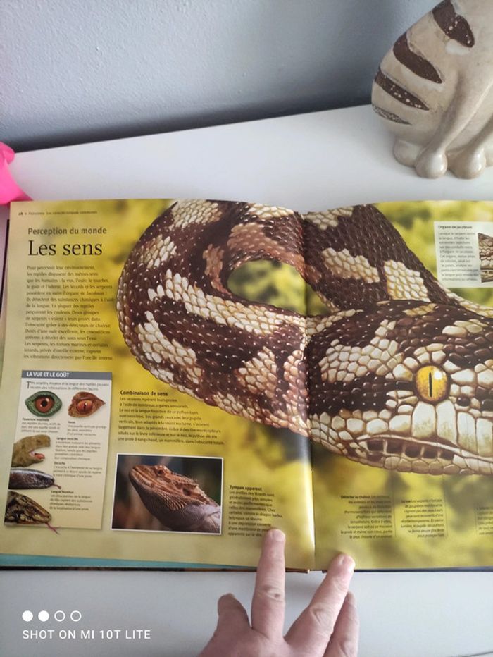 Les reptiles à la loupe - photo numéro 3