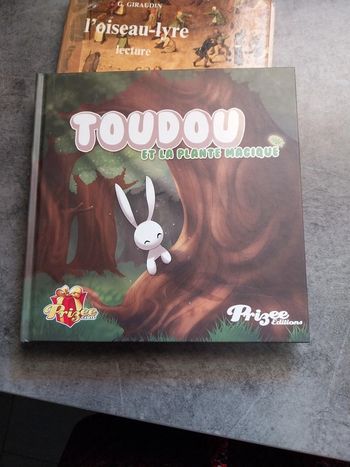Livre Toudou et la plante magique