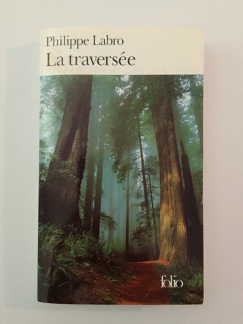 Philippe Labro 🍀 La traversée