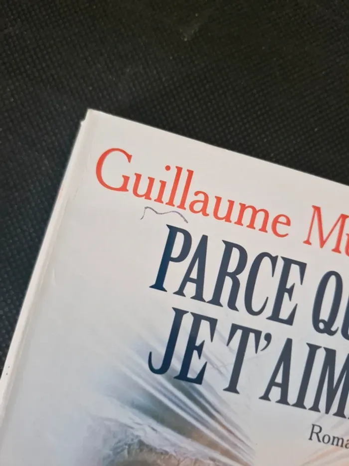 Parce Que Je T Aime - Guillaume Musso - photo numéro 3