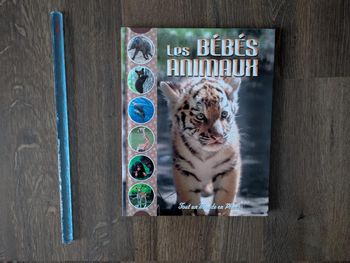 Livre Les bébés animaux