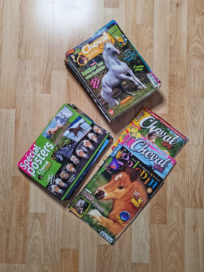 Lot de 19 Magazines Cheval Star +Spéciale Posters + Galopin + 2 Cheval Girl