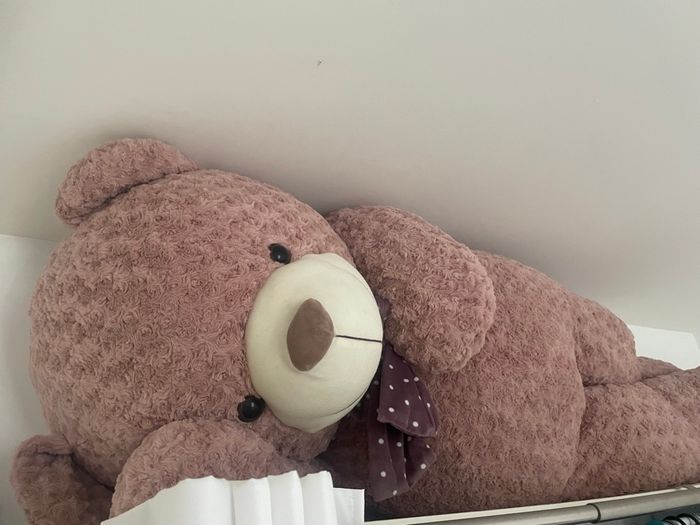 Peluches - photo numéro 2