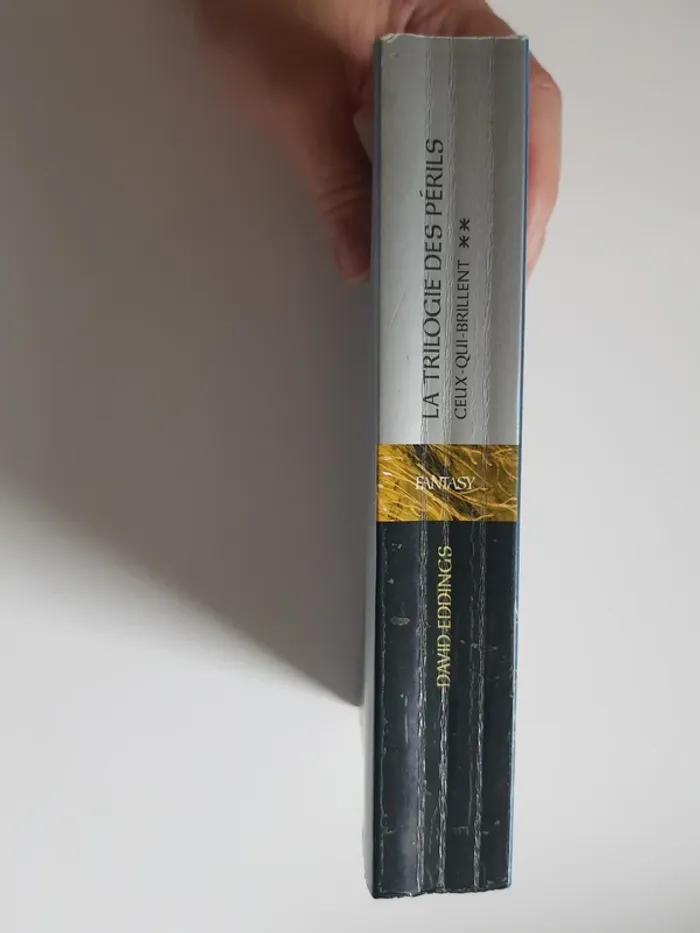 David Eddings (Écrivain) La trilogie des périls, tome 2 : Ceux-Qui-Brillent - photo numéro 5
