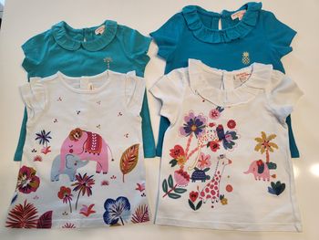 Lot 4 tee-shirts manches courtes 18 mois DPAM
