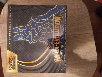 2 ETB Mega evolution illustration lucario et gardevoir