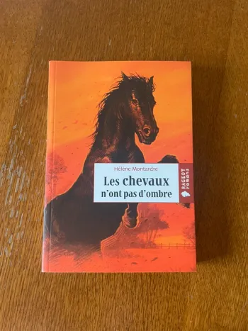 Livre Les chevaux n’ont pas d’ombre de Hélène Montardre