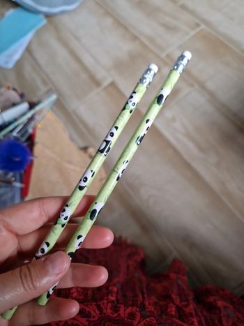 Lot de 2 crayons de bois Panda