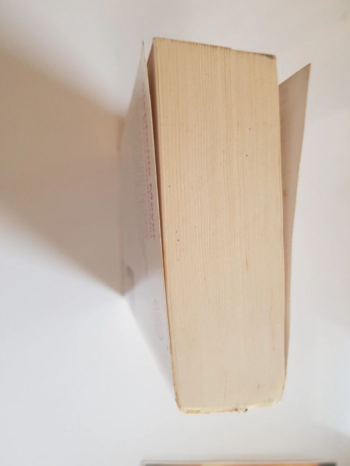 Les âmes vagabondes stephenie meyer - photo numéro 8