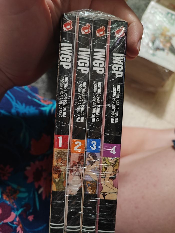 IWGP - photo numéro 3