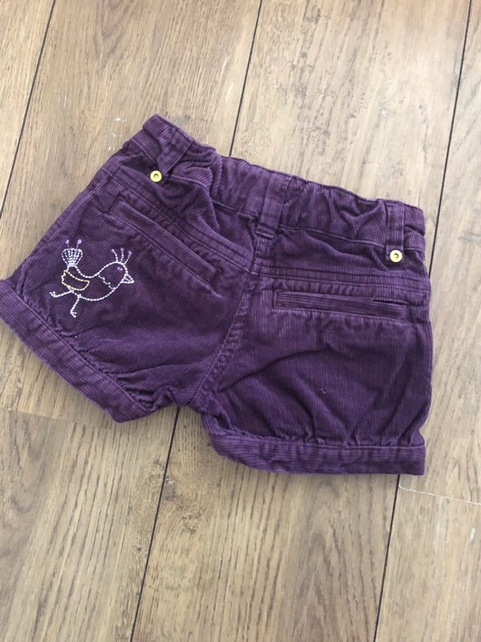 Short hiver - photo numéro 3