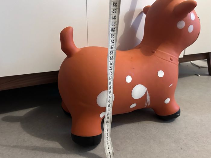 Cerf sauteur - photo numéro 5