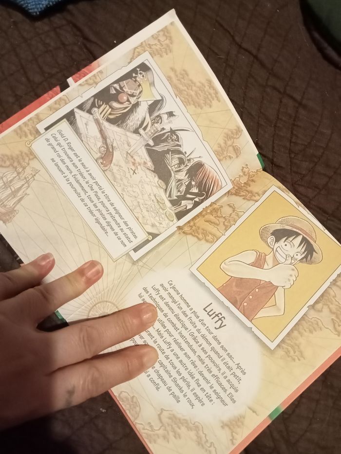 La.promesse de zorro 💚 - photo numéro 2