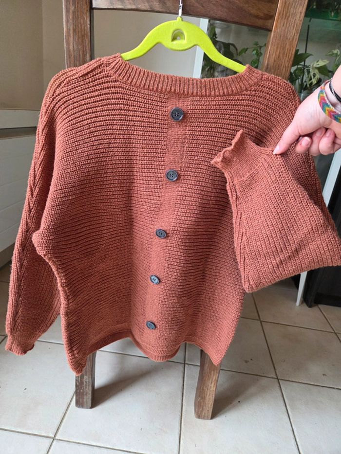 Pull camel - photo numéro 4