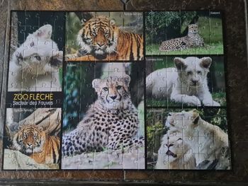 Puzzle zoo