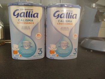 Lait en poudre