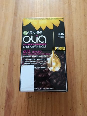Coloration garnier chocolat glacé 5.15