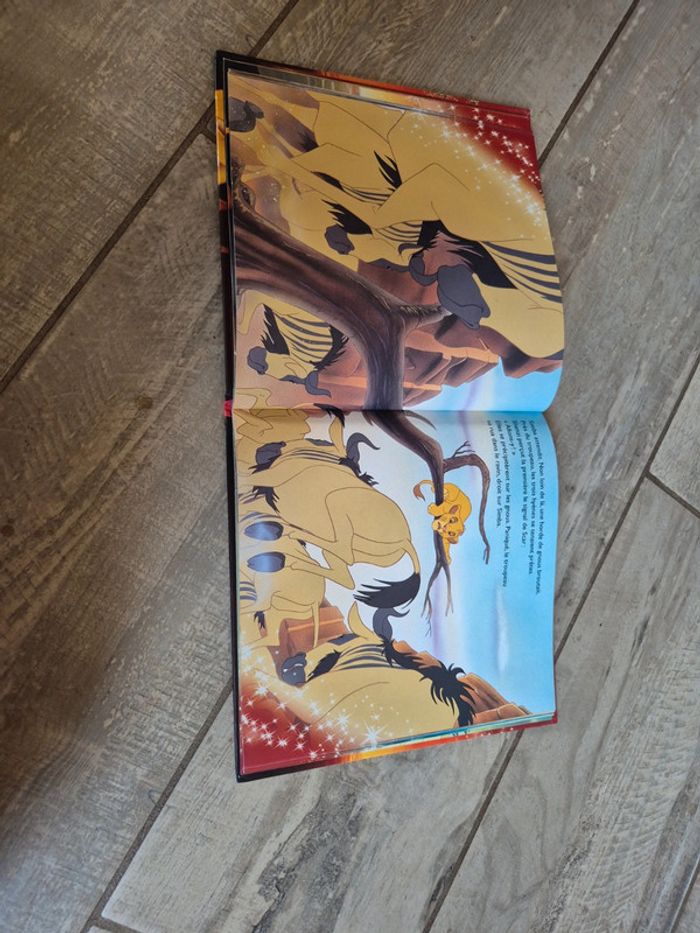 Livre roi lion - photo numéro 3
