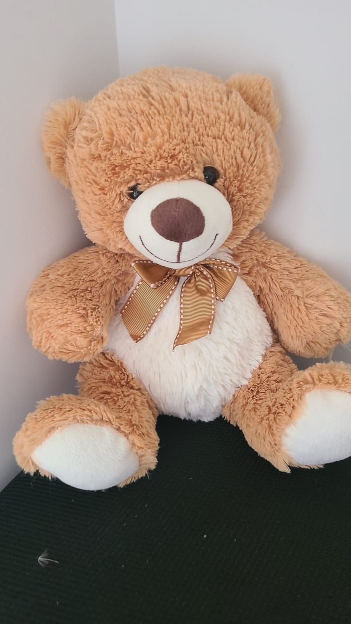 doudou ours - photo numéro 4