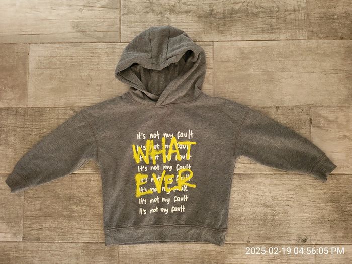 Pull à capuche garcon 4ans