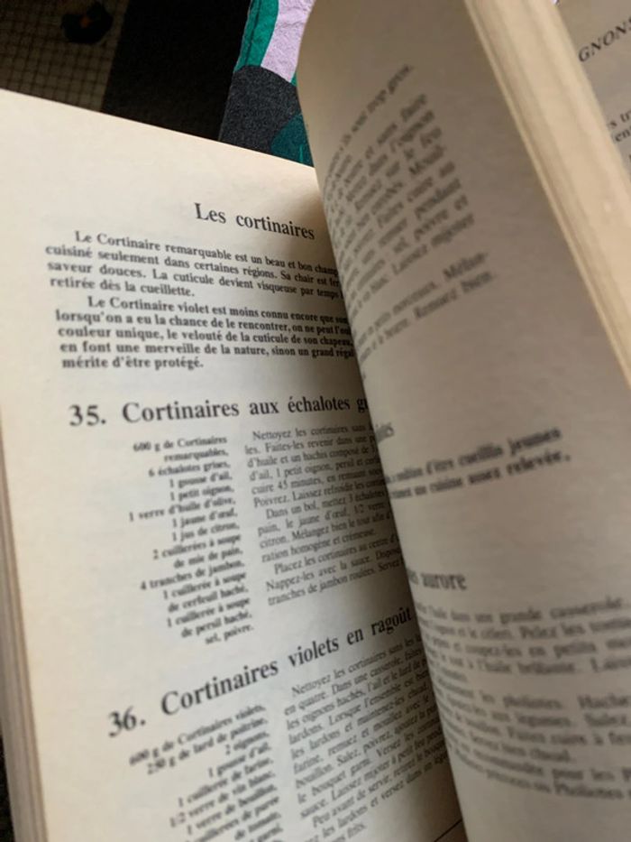 60 champignons 190 recettes - photo numéro 9